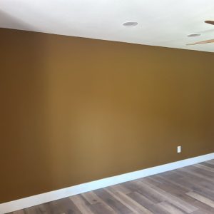Brush & Beyond Paint